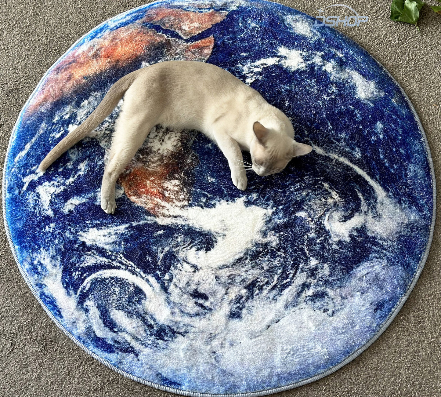 Lush Plush Infinity Earth Planet World Round Rug