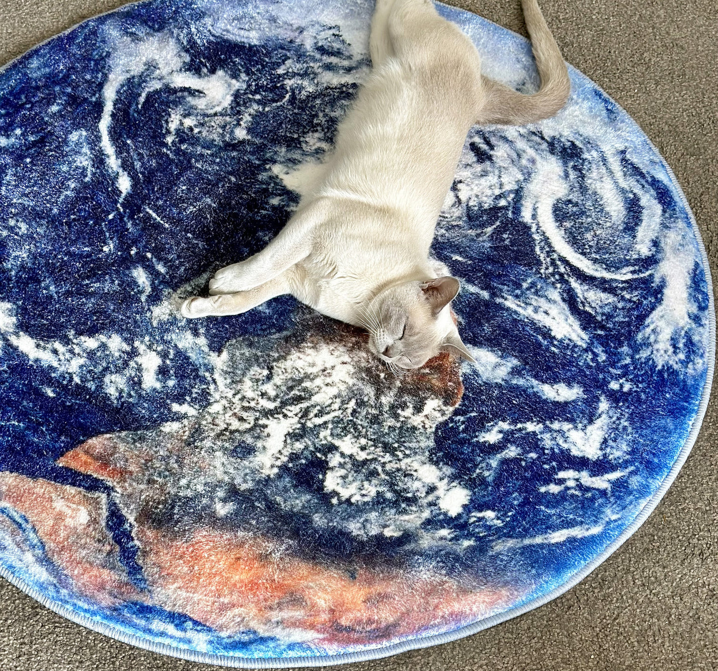 Lush Plush Infinity Earth Planet World Round Rug