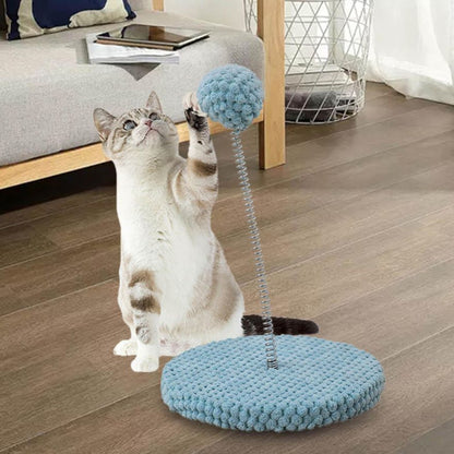 Cat Scratching Teaser Toy Spring Scratcher