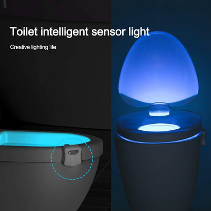 16-Colour Night Light Motion Sensor LED Toilet Bowl Bathroom Lamp