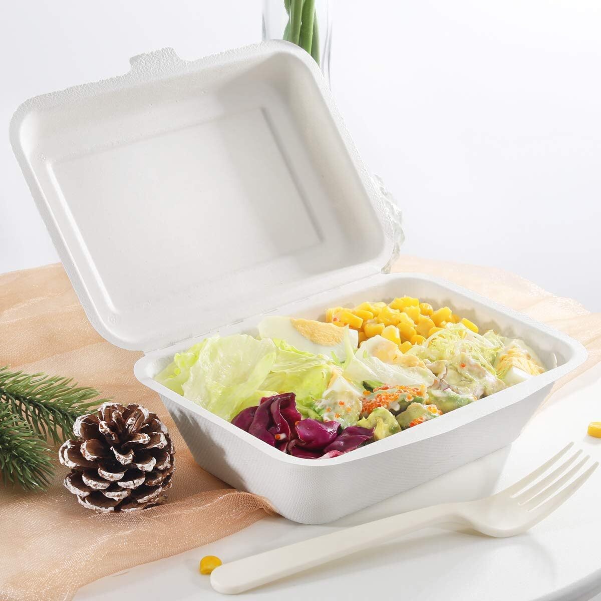 50 X Large Biodegradable Takeaway Dinner Box Disposable Food Containers with Lid (600mL)