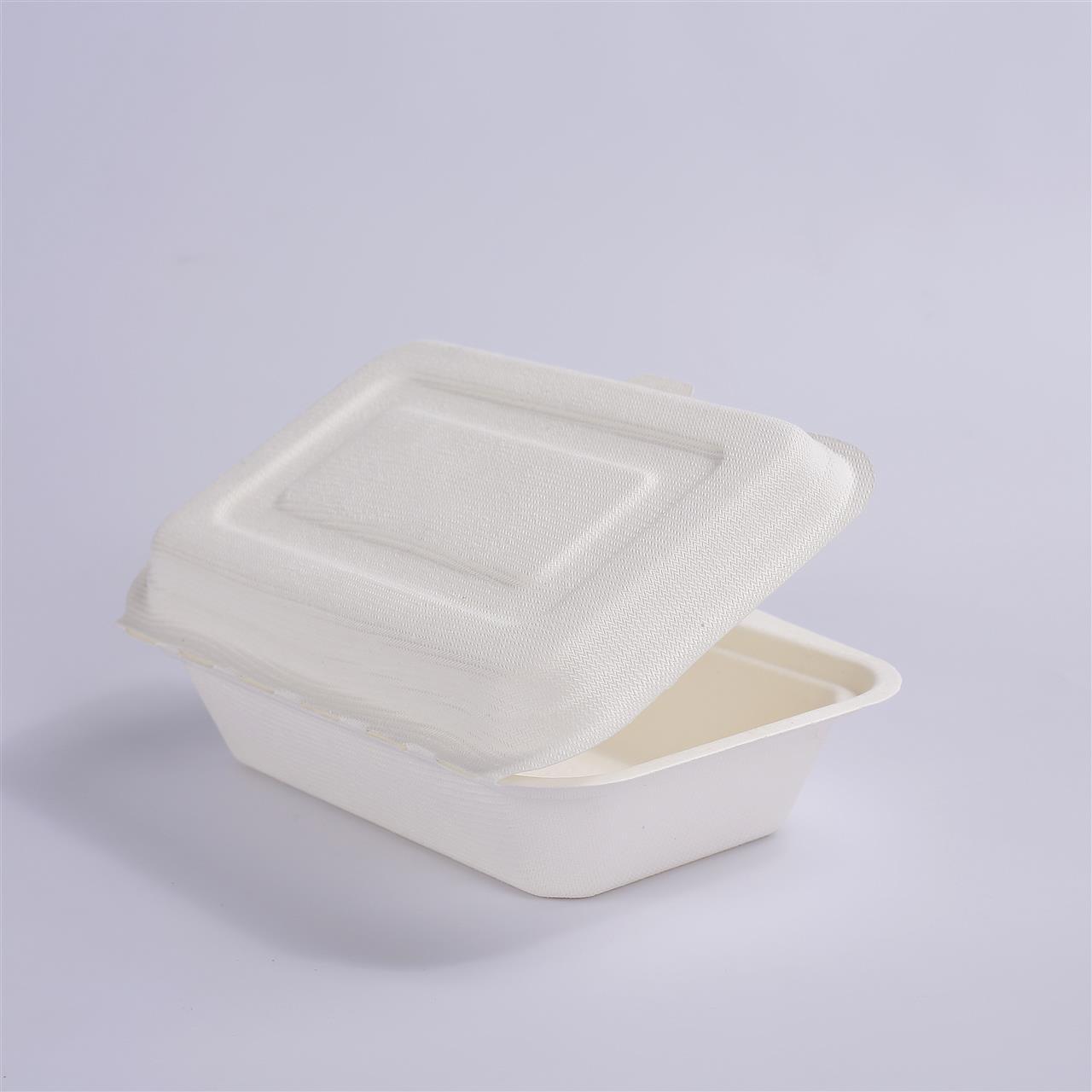 50 X Large Biodegradable Takeaway Dinner Box Disposable Food Containers with Lid (600mL)