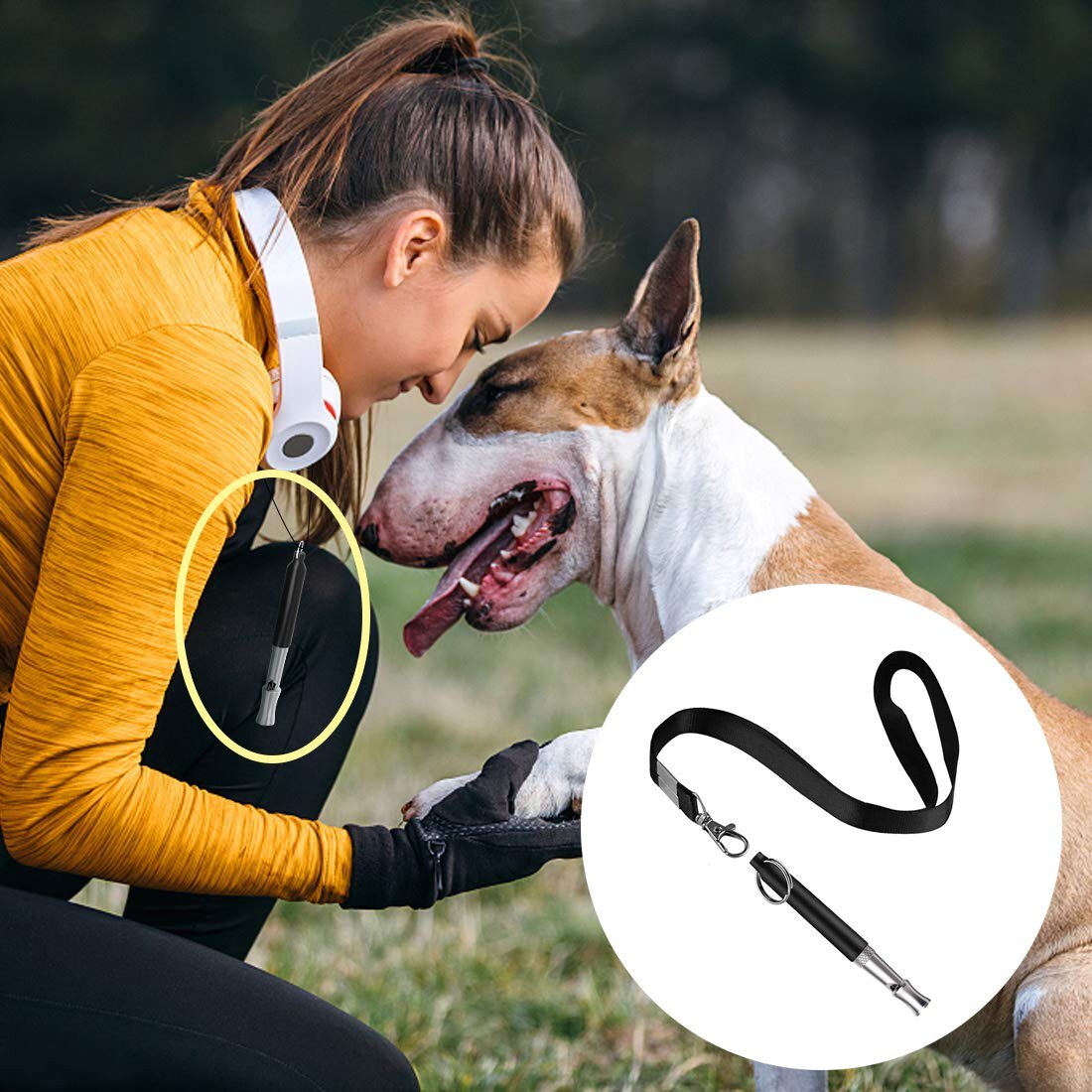 Professional Pet Training Dog Whistle Ultrasonic Bark Control Lanyard