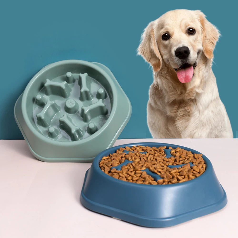 Healthy Eating Slow Feeding Dog Bowl Interactive Pet Feeder