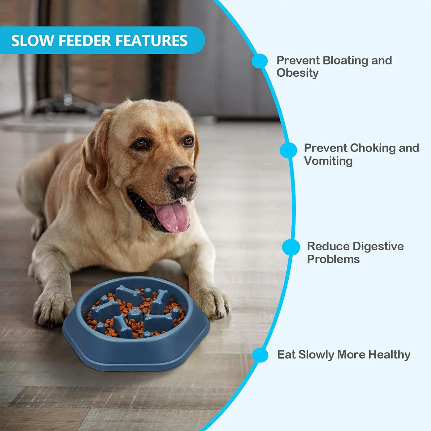 Healthy Eating Slow Feeding Dog Bowl Interactive Pet Feeder