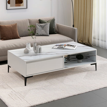 Minimalist Large Coffee Table with Storage