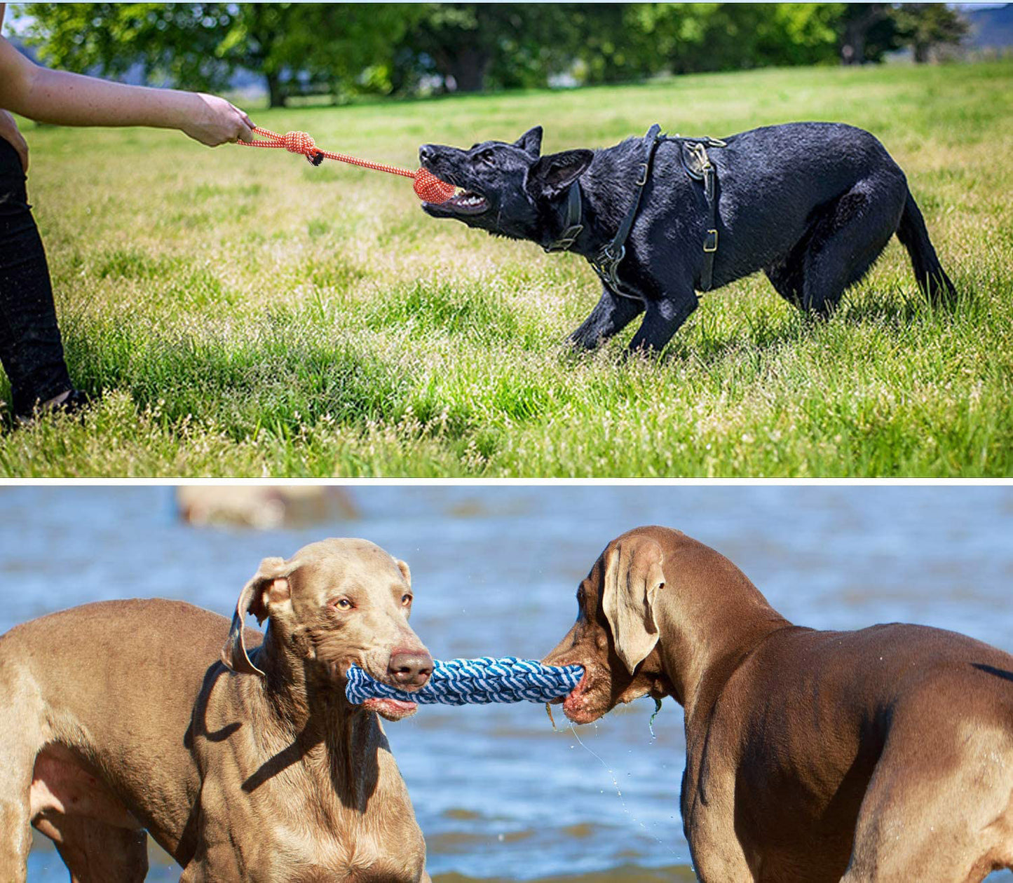 10-Piece Pet Dog Chew Toy Interactive Rope Toys Set