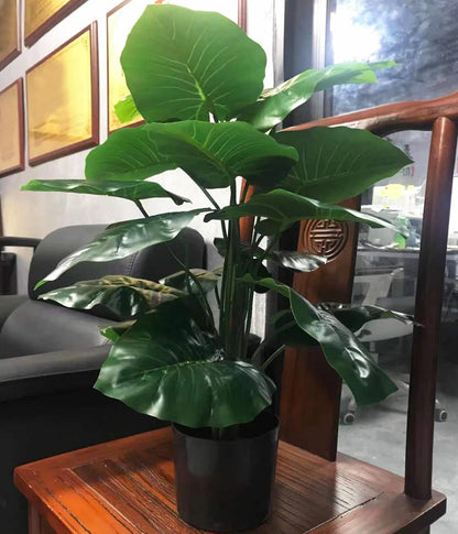 Pack of Two 18-Leaf Real Touch Artificial Elephant's Ears Plants Alocasia Trees In Pots