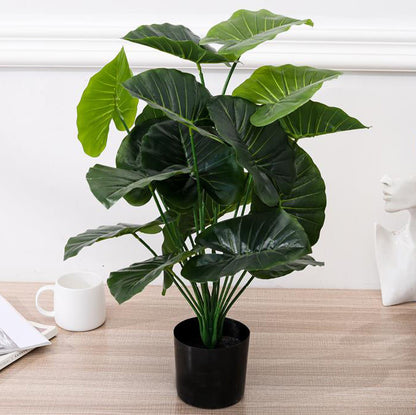 Pack of Two 18-Leaf Real Touch Artificial Elephant's Ears Plants Alocasia Trees In Pots