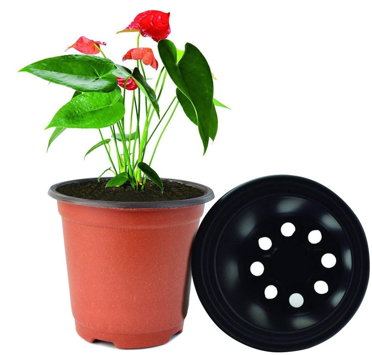 100 X Plant Flower Garden Pots Nursery Seedlings Pot Growing Container (120mm)