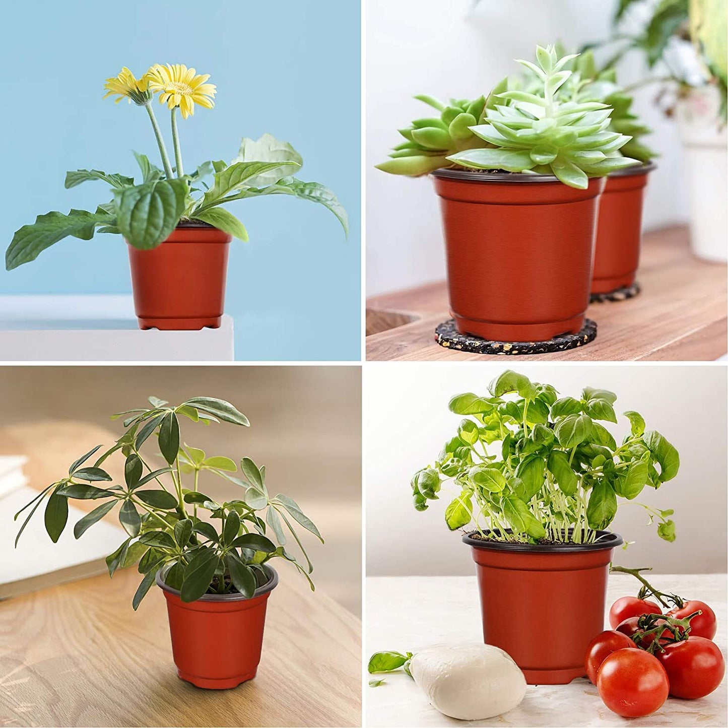 100 X Plant Flower Garden Pots Nursery Seedlings Pot Growing Container (120mm)