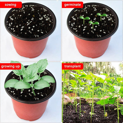 100 X Plant Flower Garden Pots Nursery Seedlings Pot Growing Container (120mm)