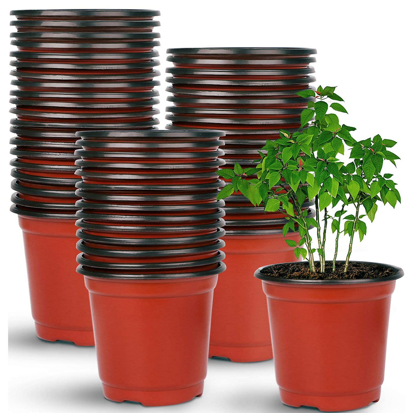 100 X Plant Flower Garden Pots Nursery Seedlings Pot Growing Container (170mm)