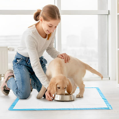 40 X Large Puppy Pads Dog Toilet Training Mats (60cm x 60cm)