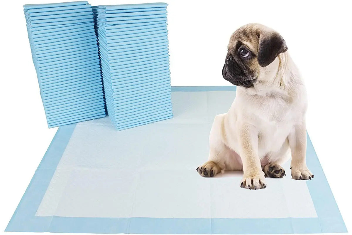 40 X Large Puppy Pads Dog Toilet Training Mats (60cm x 60cm)