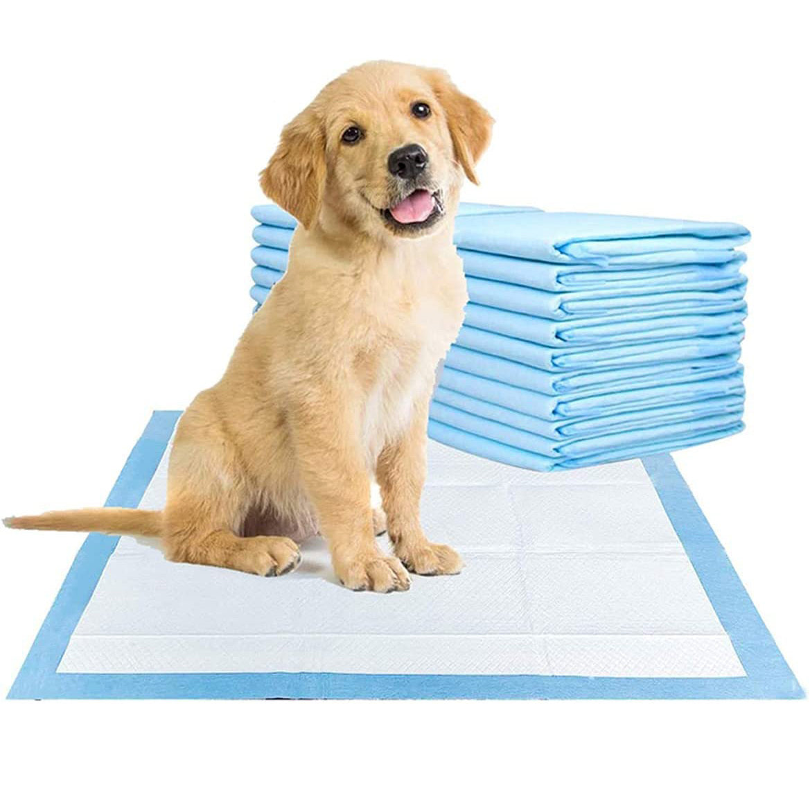 40 X Large Puppy Pads Dog Toilet Training Mats (60cm x 60cm)