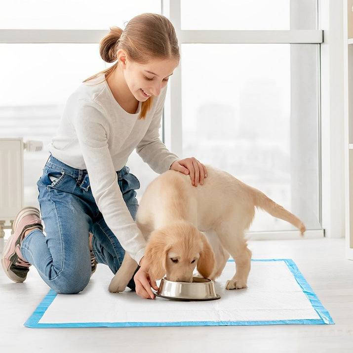 50 X Puppy Pads Dog Toilet Training Mats (45cm x 60cm)