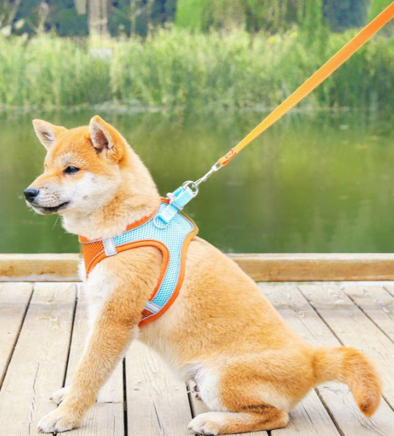 Large Dog Harness and Leash Set Pet Vest Lead (Orange, L)