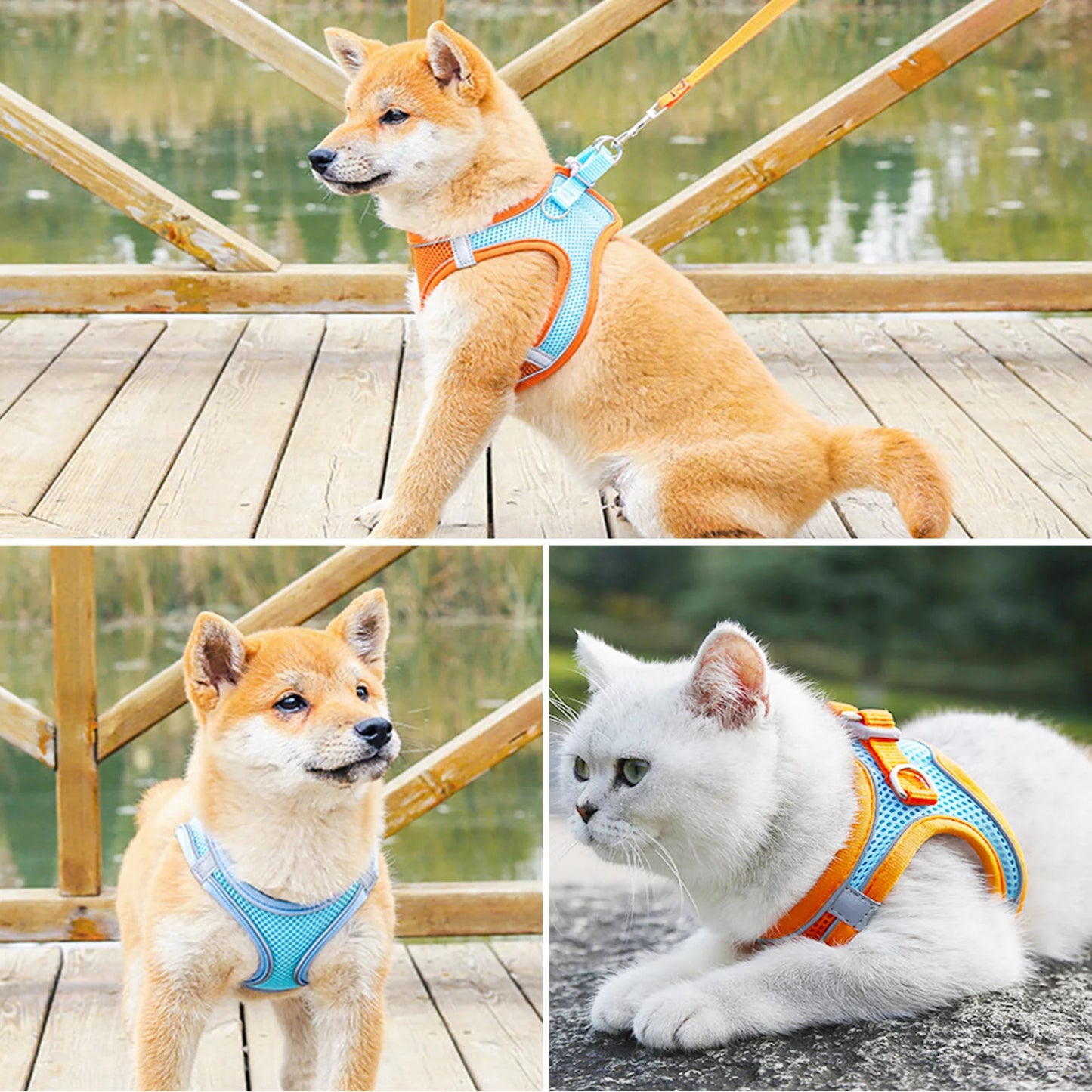 Large Dog Harness and Leash Set Pet Vest Lead (Orange, L)