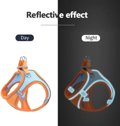 Large Dog Harness and Leash Set Pet Vest Lead (Orange, L)