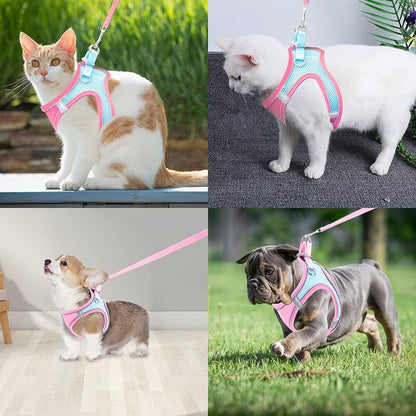 Large Dog Harness and Leash Set Pet Vest Lead (Pink, L)