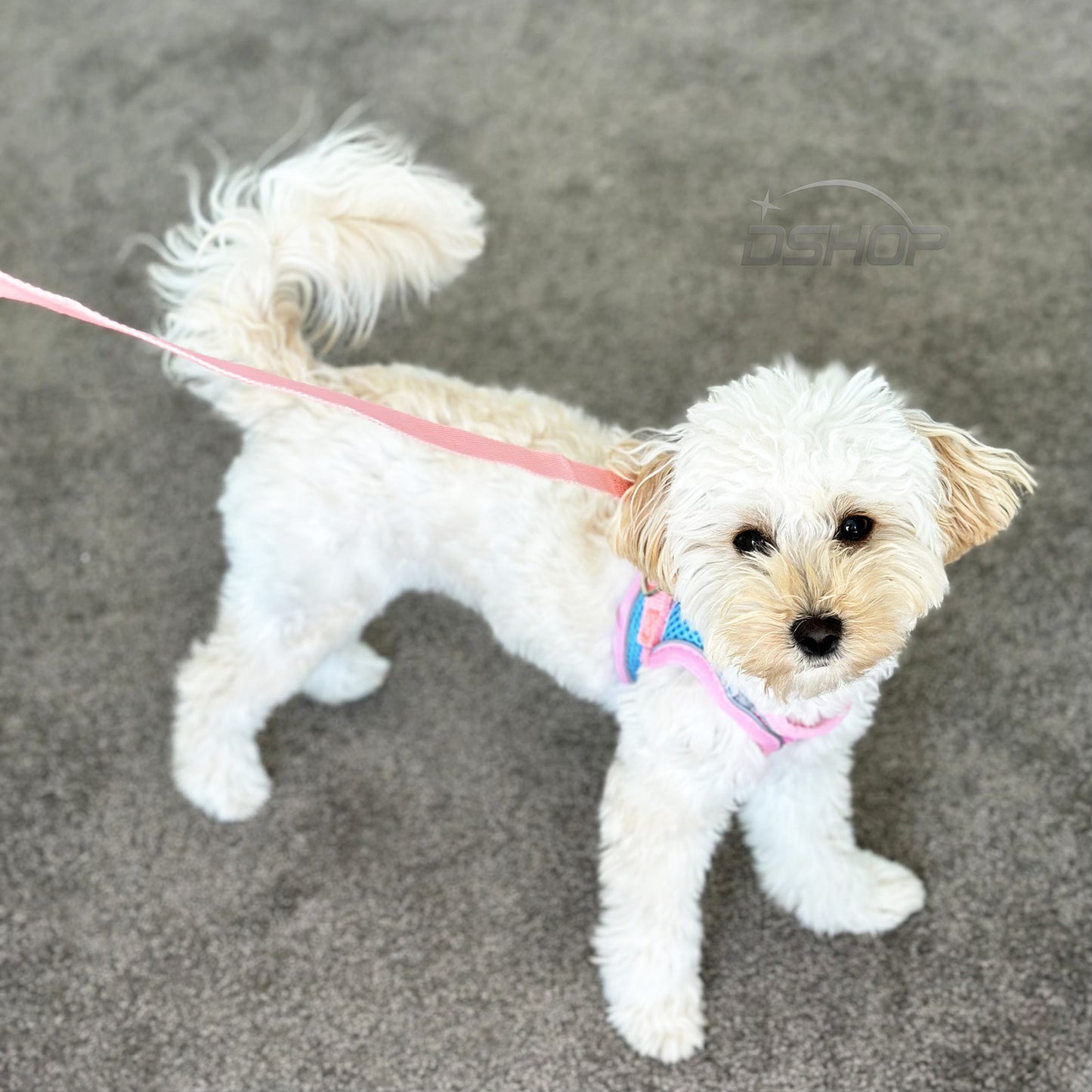 Large Dog Harness and Leash Set Pet Vest Lead (Pink, L)