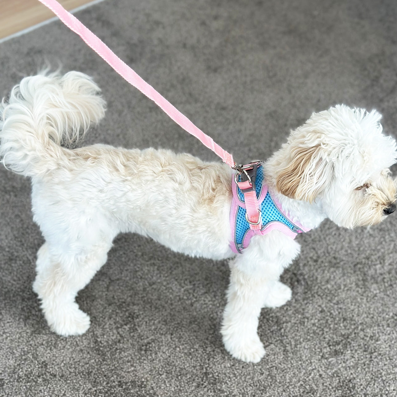 Medium Dog Harness and Leash Set Pet Vest Lead (Pink, M)