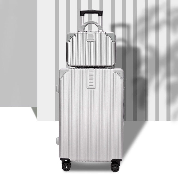 2-Piece Standard Cabin Carry-On Luggage Suitcase Set (Silver)