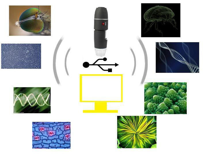 500x HD Colour Digital Microscope with USB & Camera