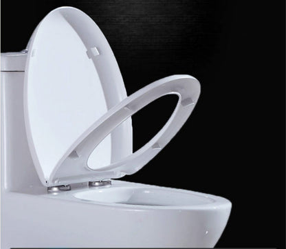 Soft Close Quick Release Toilet Seat & Lid