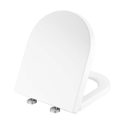 Soft Close Quick Release Toilet Seat & Lid