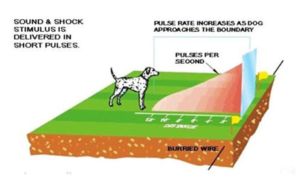 Weatherproof Electronic Dog Fence Containment System