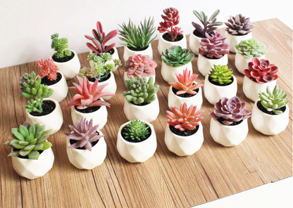 Artificial Succulent Pot Plant