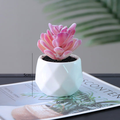 Artificial Succulent Pot Plant