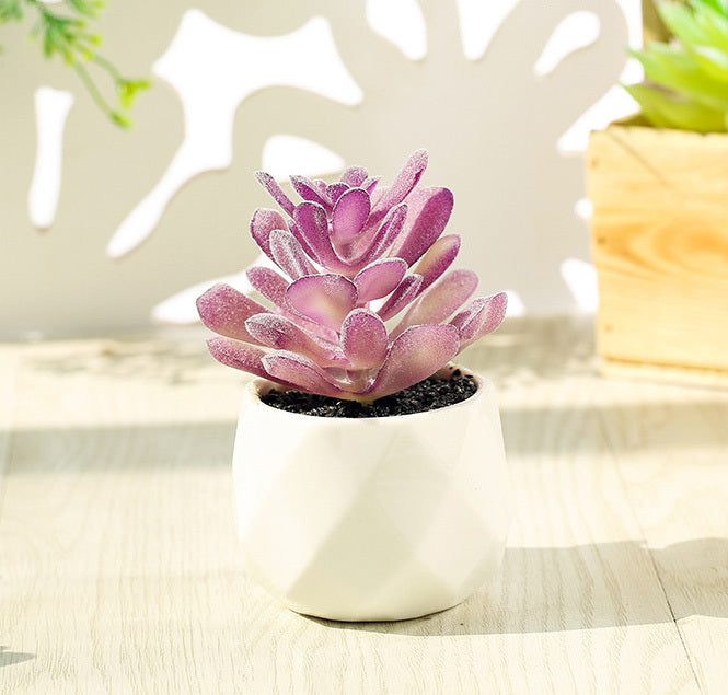 Artificial Succulent Pot Plant