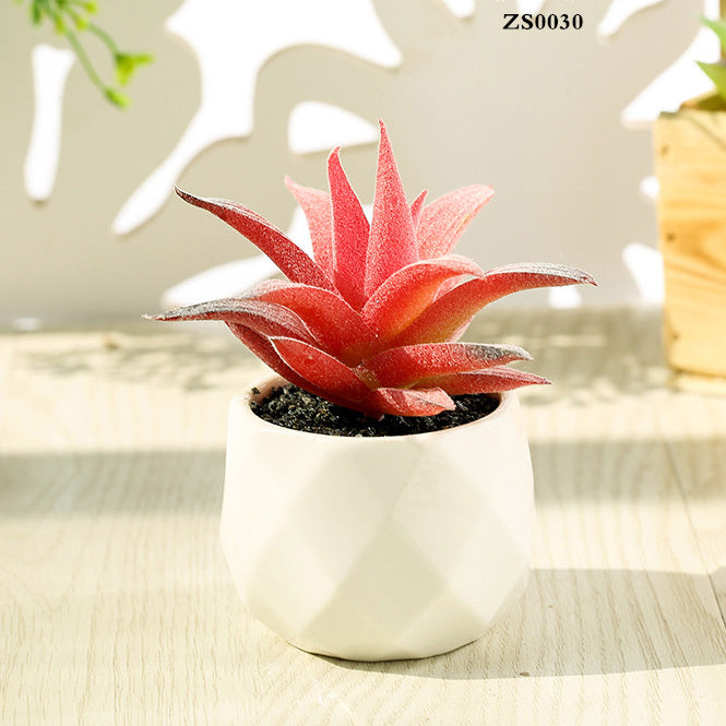 Artificial Succulent Pot Plant