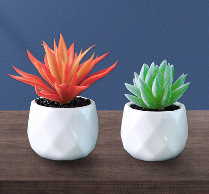 Artificial Succulent Pot Plant