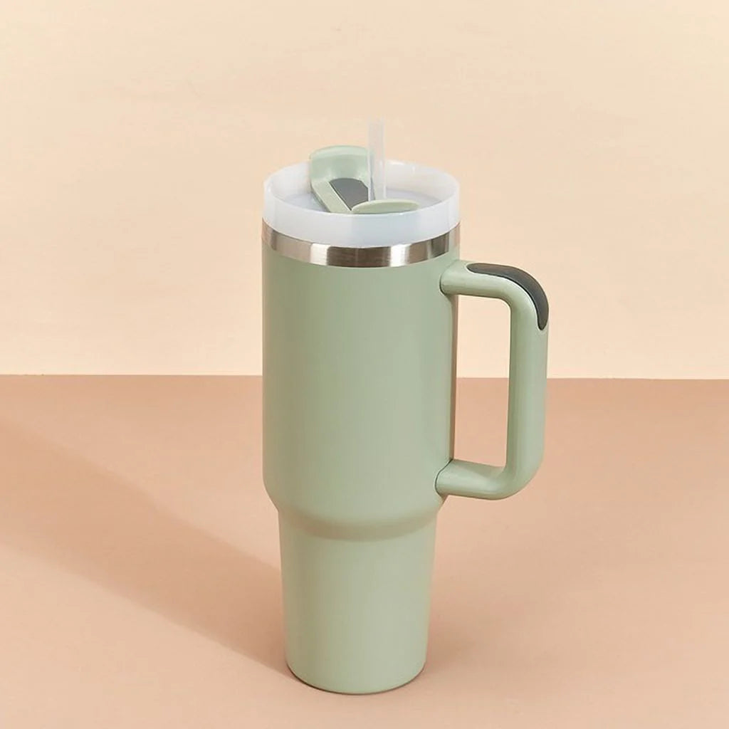 Stainless Steel Insulated Tumbler with Handle Straw Travel Mug (30oz, Eucalyptus Sage)