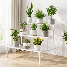 3-tier Metal Garden Plant Stand Shelf Display Rack Flower Pot Holder Storage Organizer (White)