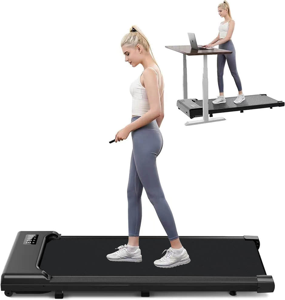 Cardio Equipment, Treadmills & Spin Bikes
